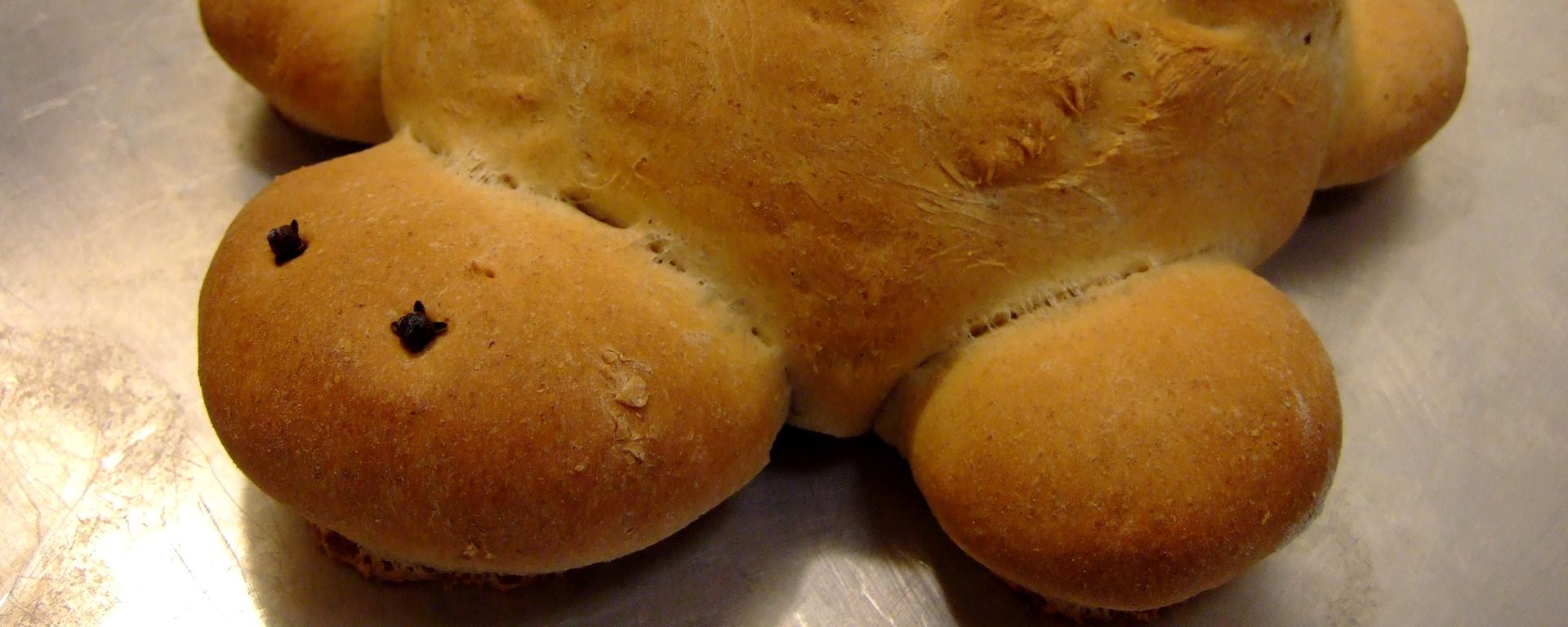 Turtle bread