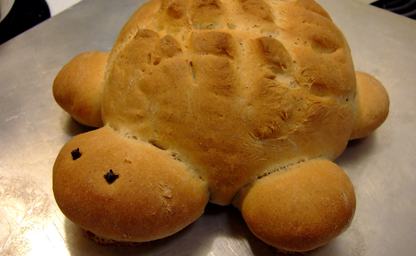 Turtle bread