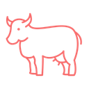 Meat - Beef