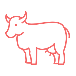 Meat - Beef