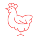 Meat - Chicken