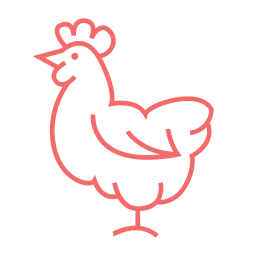 Meat - Chicken