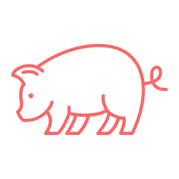 Meat - Pork