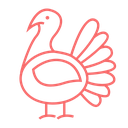 Meat - Turkey
