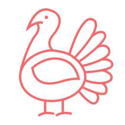 Meat - Turkey