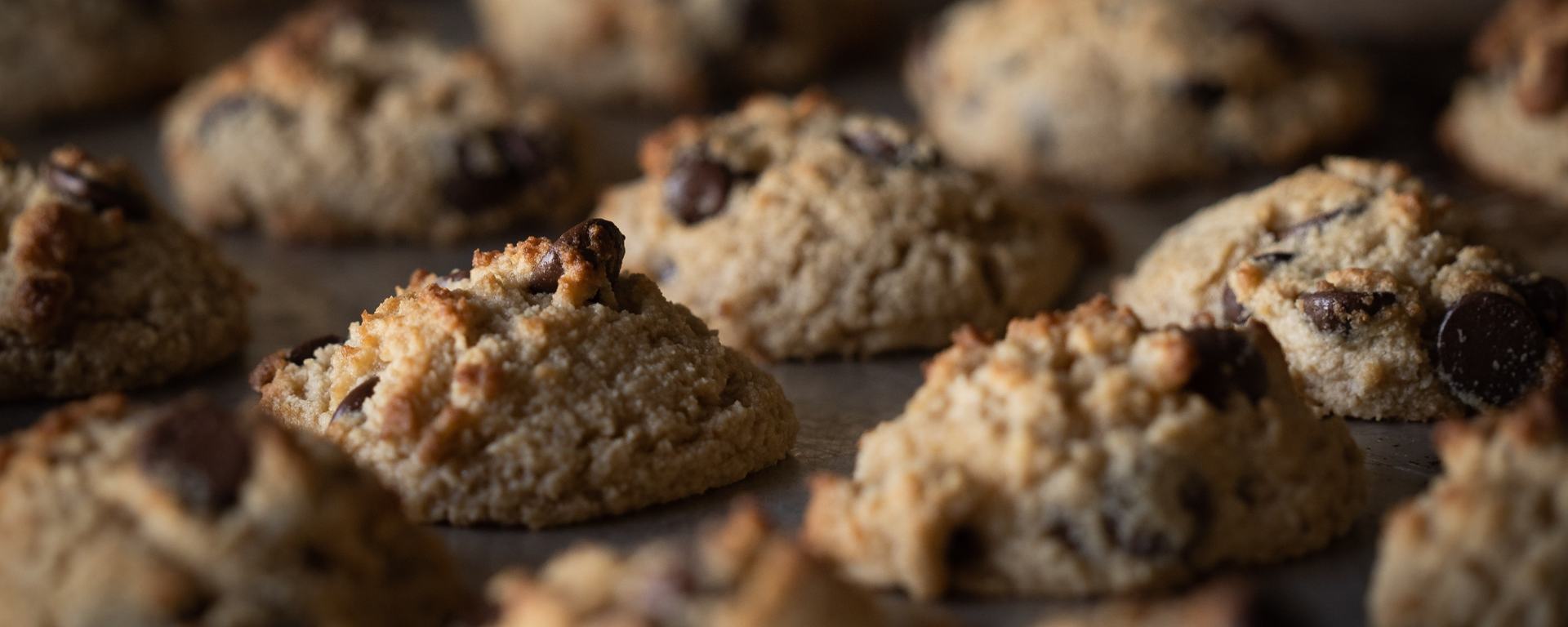 selective-focus-photography-of-chocolate-cookies-1775283.jpg
