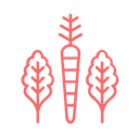 Vegetables